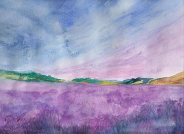 The Meadow Behind the Screen